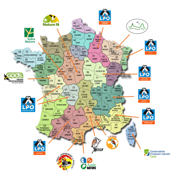 Les structures animatrices du 1er PNA au niveau local.